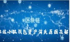 : 電腦端小狐錢包資產(chǎn)消失