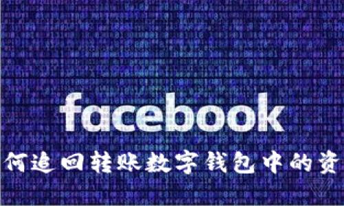 如何追回轉賬數字錢包中的資金