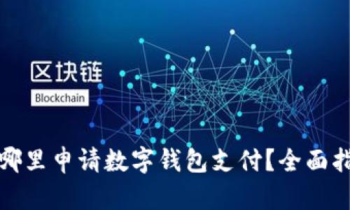 在哪里申請(qǐng)數(shù)字錢包支付？全面指南