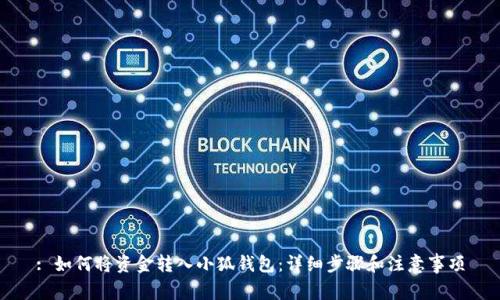 : 如何將資金轉(zhuǎn)入小狐錢包：詳細步驟和注意事項