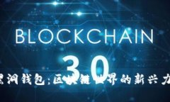  黑洞錢包：區(qū)塊鏈?zhǔn)澜绲? class=