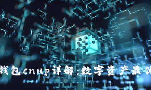 小狐錢(qián)包c(diǎn)nup詳解：數(shù)字資產(chǎn)最優(yōu)選擇