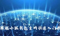 中本聰小狐錢(qián)包主網(wǎng)快速